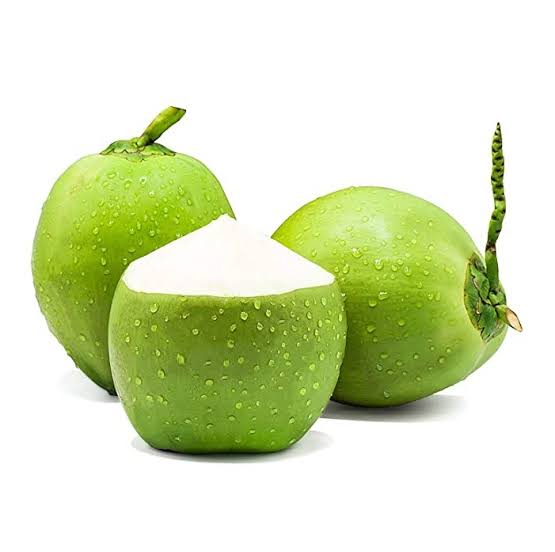 Green Malayan Dwarf coconut